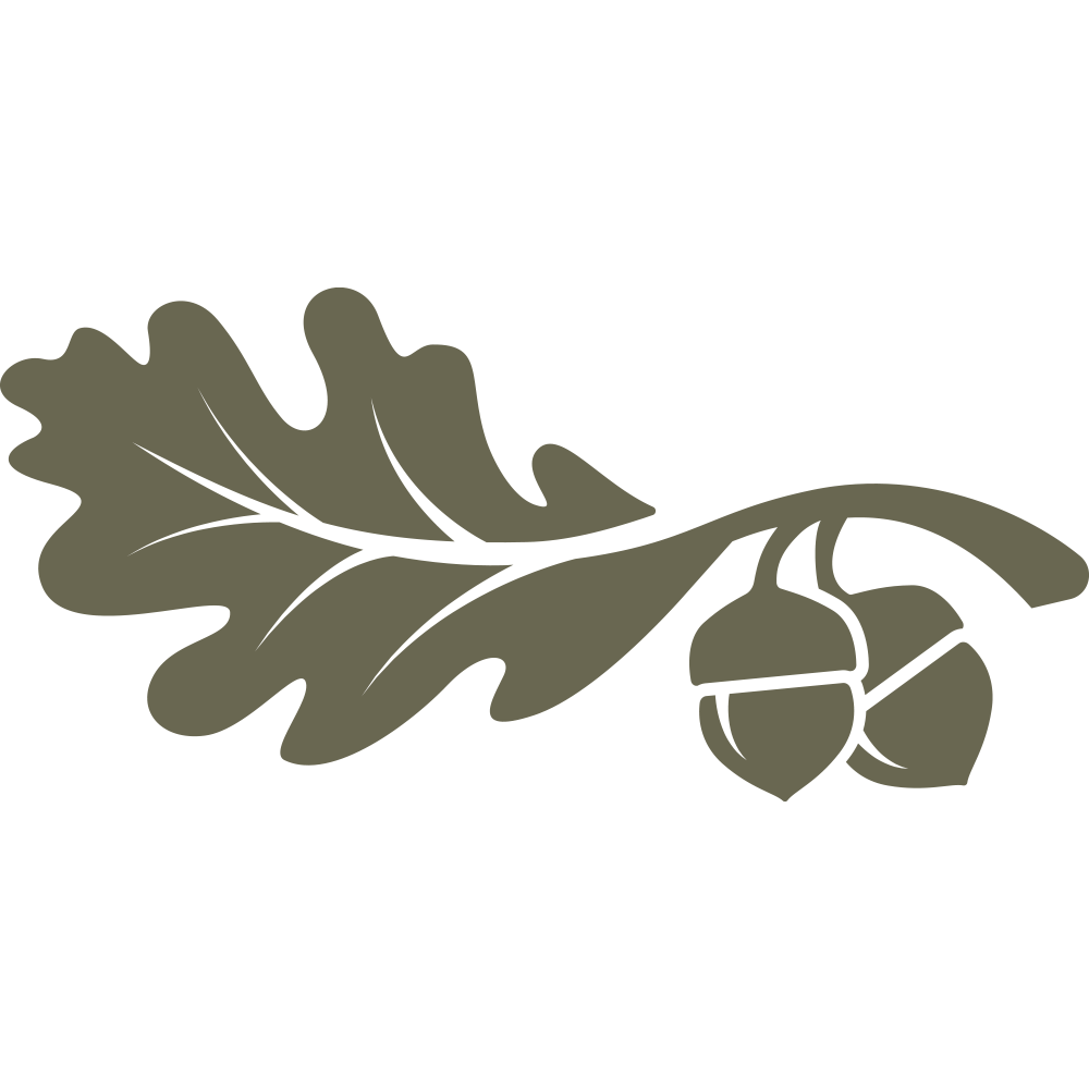 Oak leaf and acorn design with flowing lines, ideal for nature-inspired leathercraft projects.