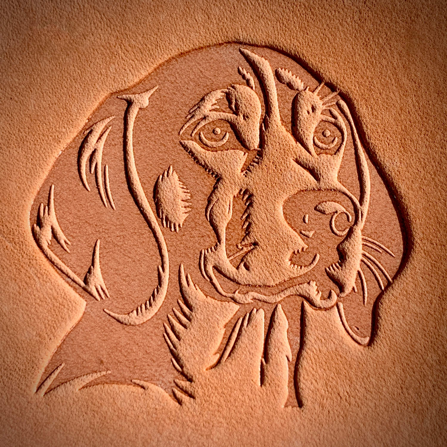 Leather sample showcasing a stamped Beagle hound dog head design using a delrin leather stamp, emphasizing the breed’s gentle expression and detailed fur texture.