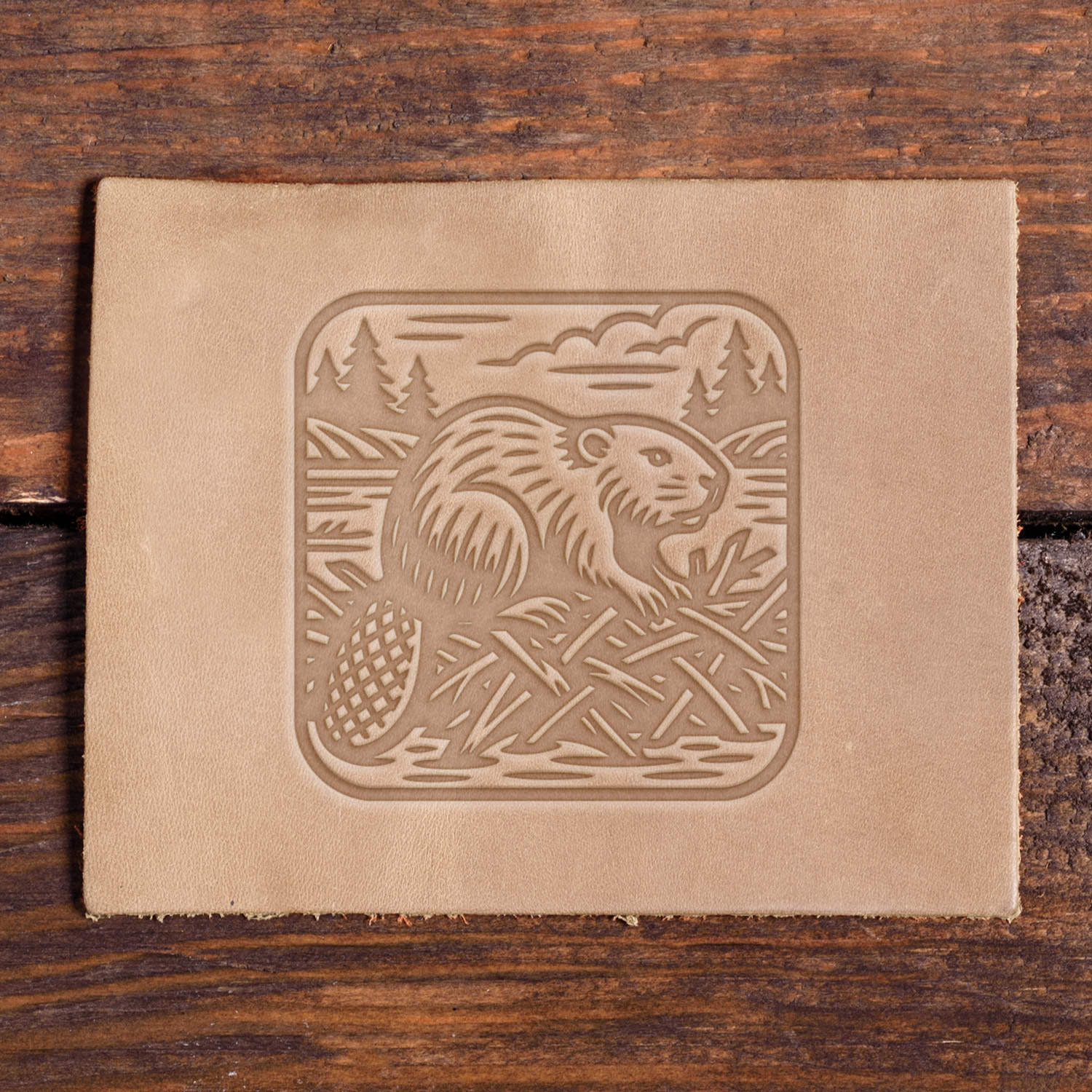 Beaver in Dam Delrin Leather Stamp