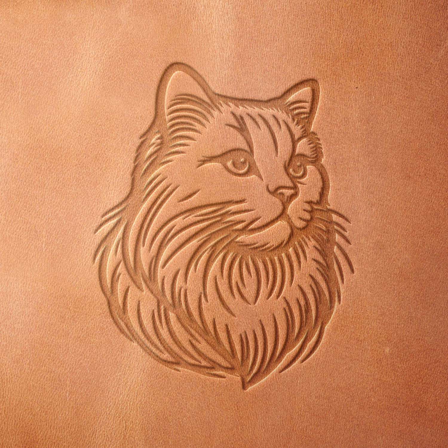 Leather sample showcasing a Maine Coon cat design, stamped with a Delrin leather stamp, highlighting the cat’s luxurious fur and distinguished facial features.