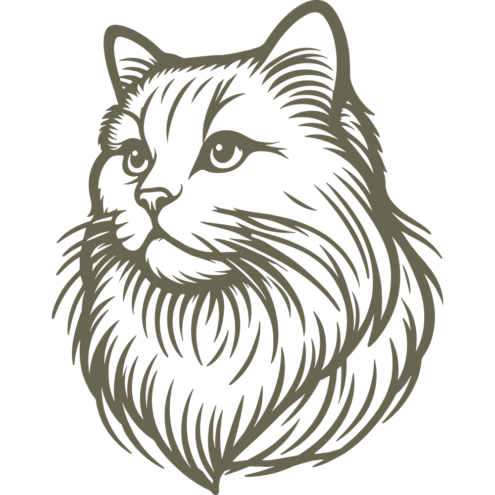 Maine Coon cat design featuring a detailed, long-haired mane, expressive eyes, and a regal posture, capturing the breed’s majestic and intelligent nature.