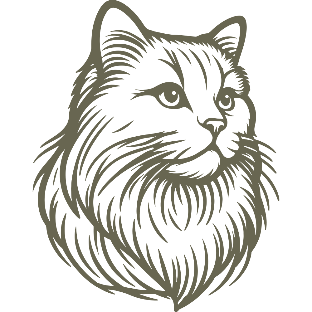 Maine Coon cat design featuring a detailed, long-haired mane, expressive eyes, and a regal posture, capturing the breed’s majestic and intelligent nature.