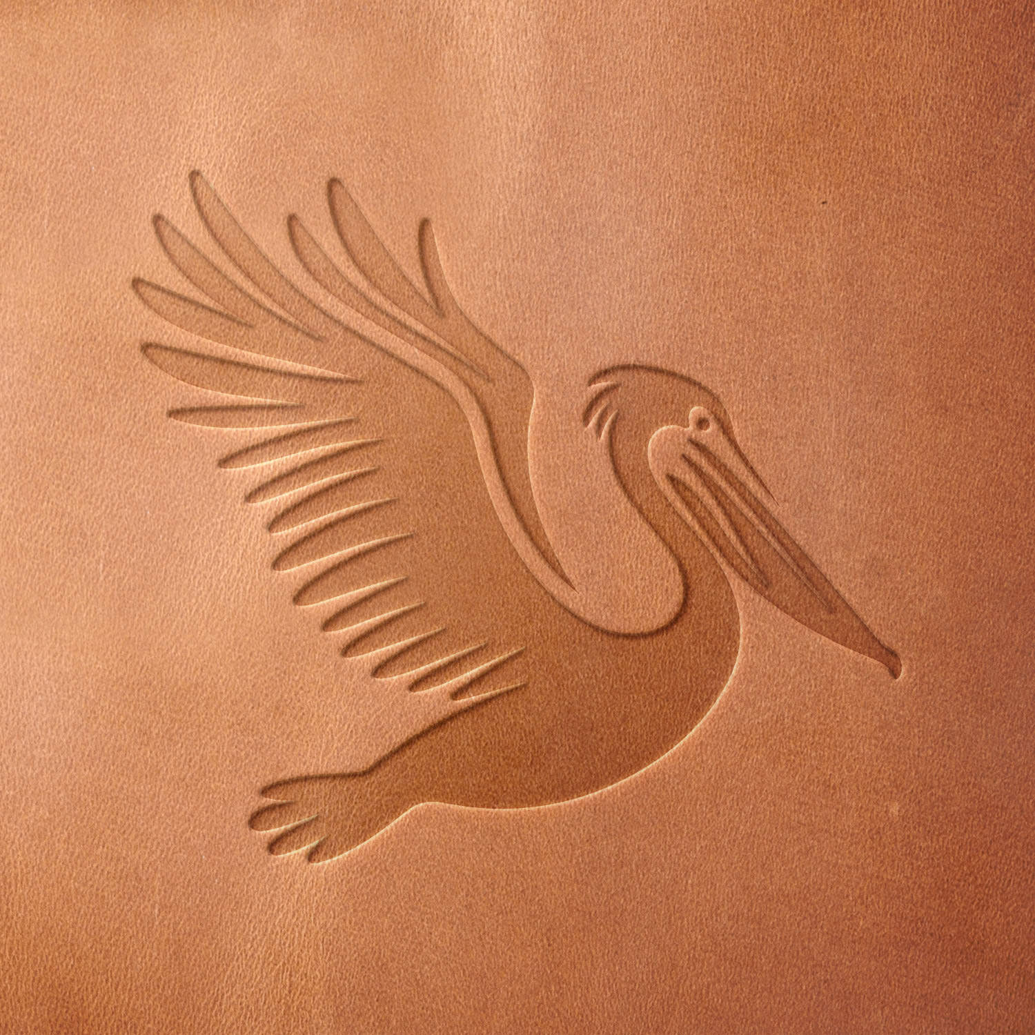 Leather sample with a crisp pelican stamp impression from a Delrin leather stamp, ideal for creating high-quality coastal and wildlife-themed leathercraft projects.