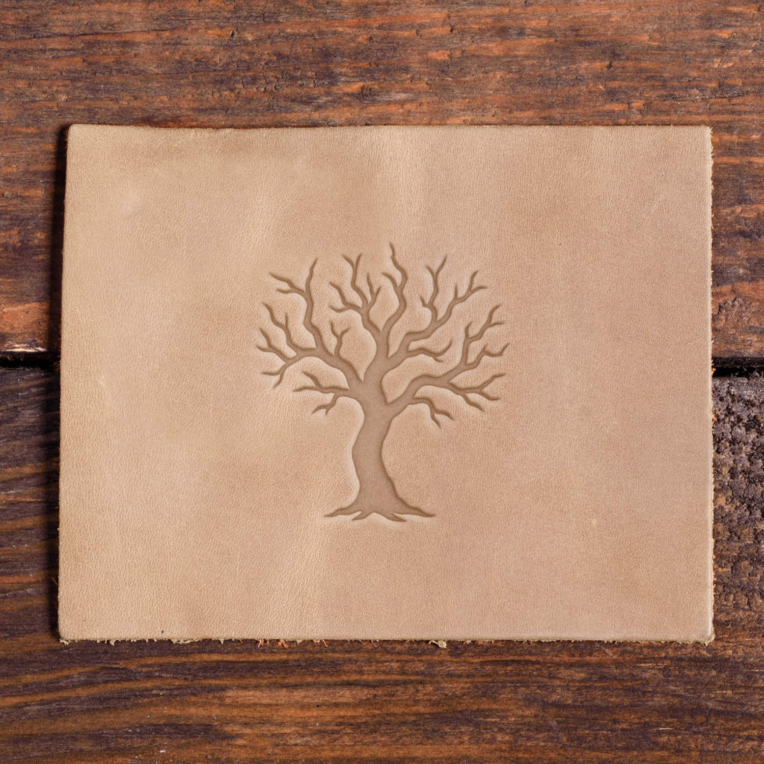 Leather piece stamped with a Delrin leather stamp design of a leafless tree featuring intricate, branching limbs and a sturdy trunk.