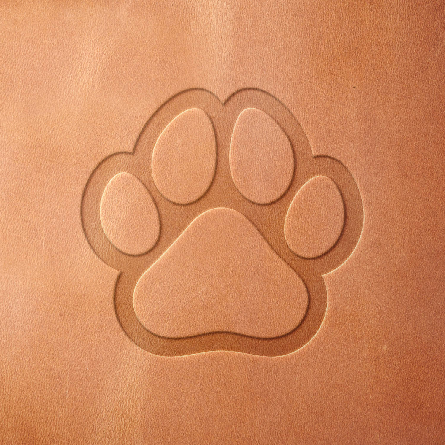 Leather piece stamped with a Delrin leather stamp of a paw print—ideal for custom pet gear, wildlife-inspired tags, or personalized animal-themed leather items.