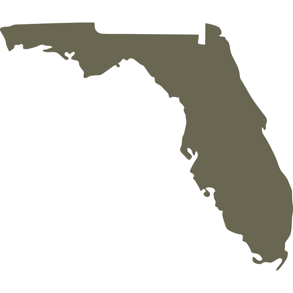 Silhouette of the state of Florida, capturing its iconic peninsula shape with precise detailing. A bold and simple design perfect for state pride and regional crafts.