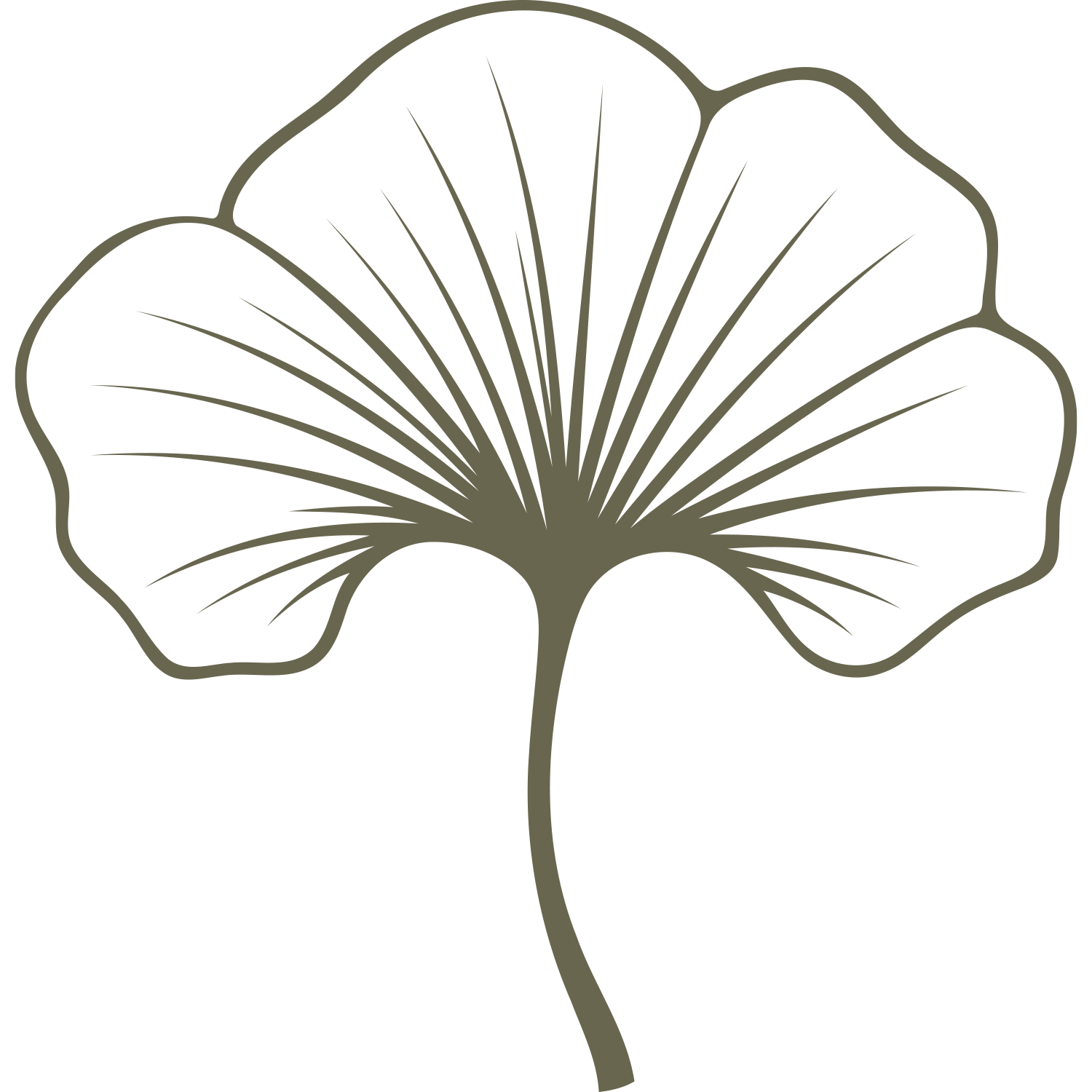 Single ginkgo leaf with bold fan shape and fine veining, designed for leather stamping using a Delrin stamp.
