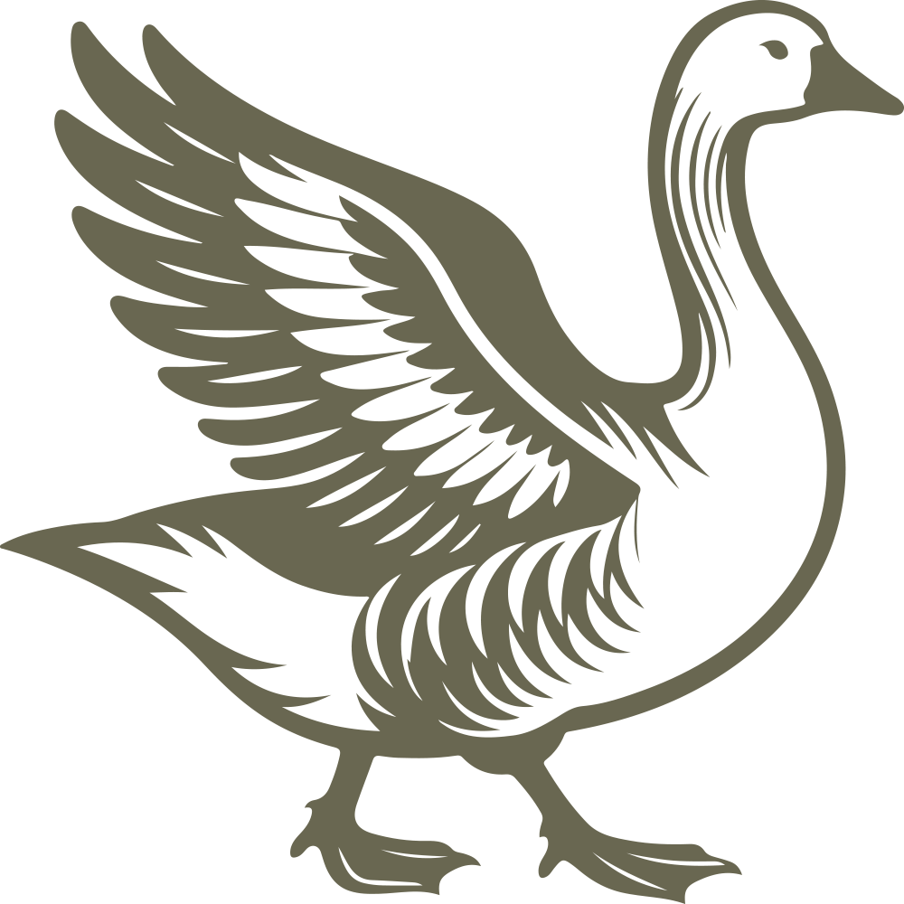 Detailed illustration of a goose with raised wings, showcasing bold lines and feathered texture.