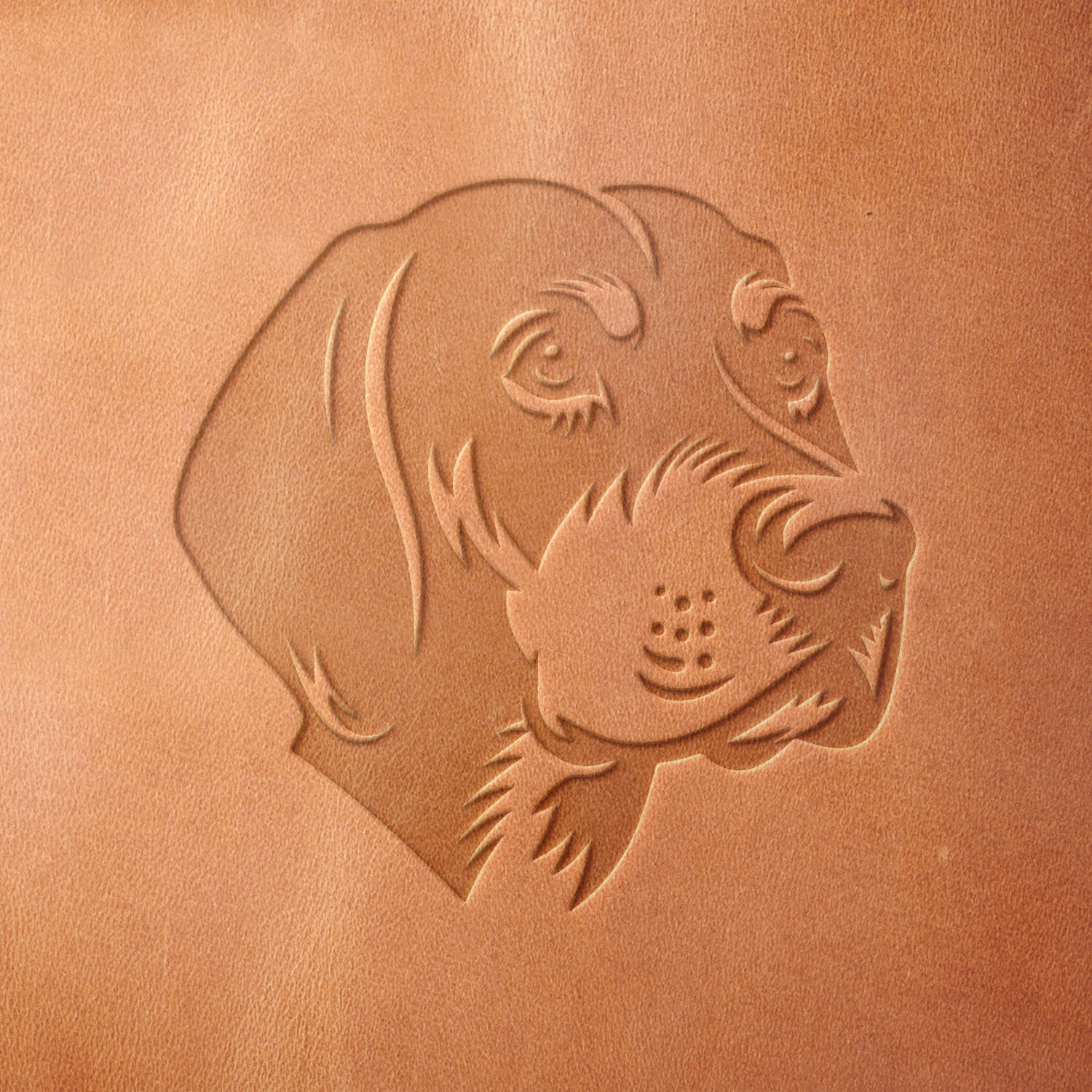 Leather piece stamped with a Delrin leather stamp of a hound dog’s face—showcasing bold lines and careful detail, ideal for collars, key fobs, or tribute pieces.
