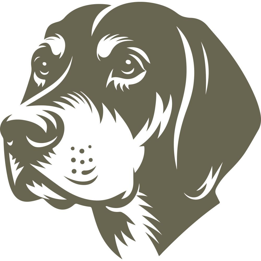 Detailed hound dog head illustration with expressive eyes, soft muzzle lines, and textured fur—perfect for custom leather gifts or dog-themed leathercraft.