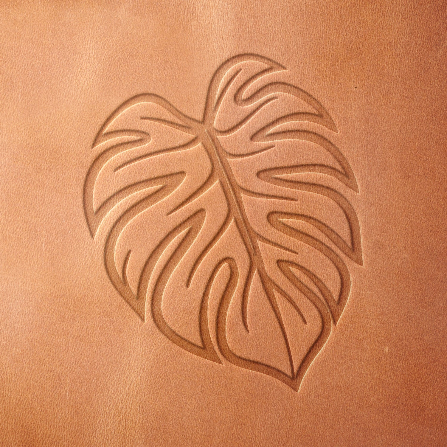 Leather piece stamped with a Delrin leather stamp of a monstera leaf—great for botanical-themed crafts, garden journal covers, or plant shop tags.
