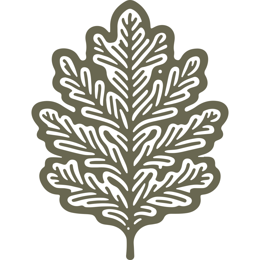 Ornate oak leaf design with intricate detailing, perfect for nature-themed leathercraft projects.