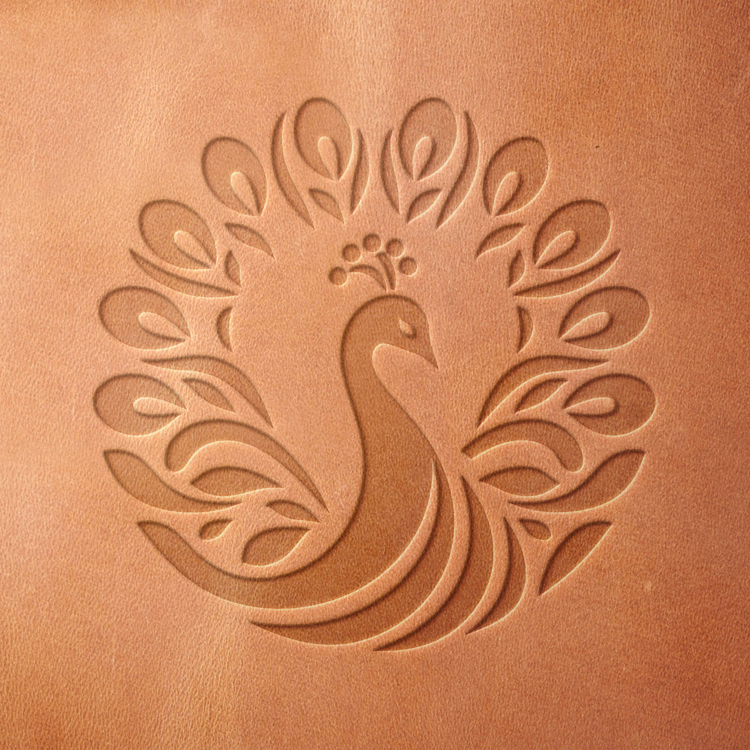 Leather piece stamped with a Delrin leather stamp of an ornate peacock design, showcasing detailed plumage—ideal for journals, wallets, or artisan decor.