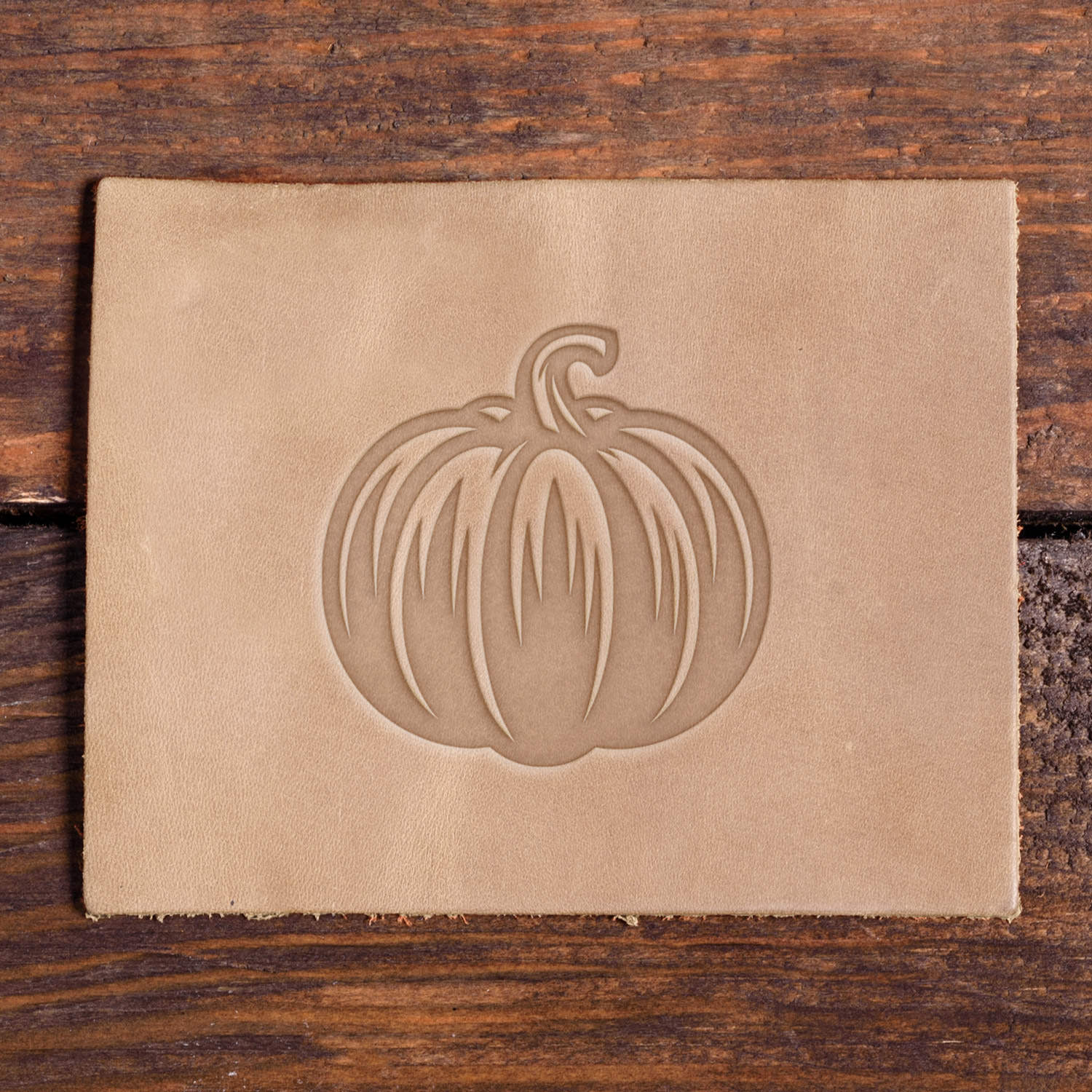 Leather piece stamped with a Delrin leather stamp design of a rounded pumpkin with defined grooves and a curled stem.