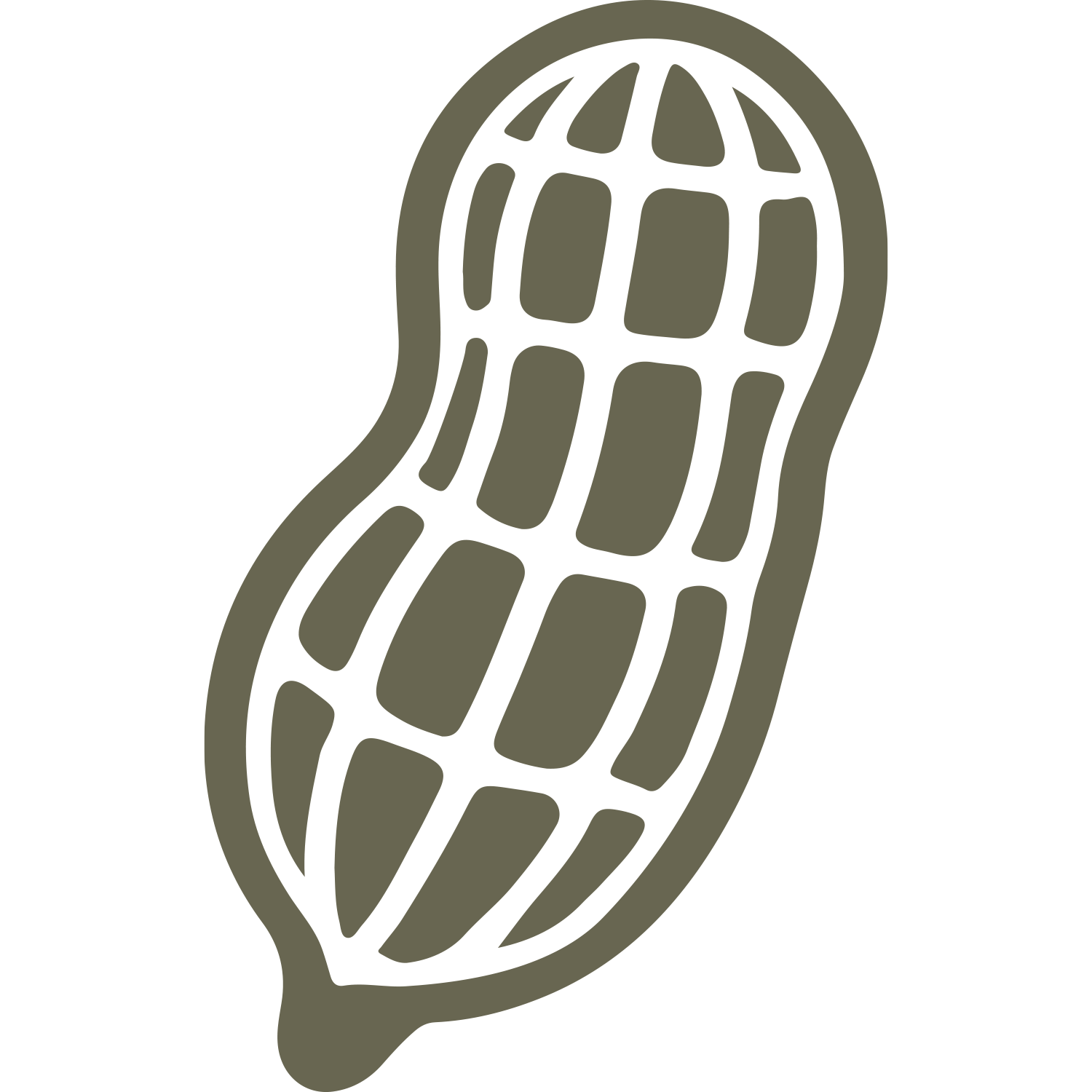 Delrin leather stamp design of a single peanut in its shell with clean, simple linework for leather crafting.