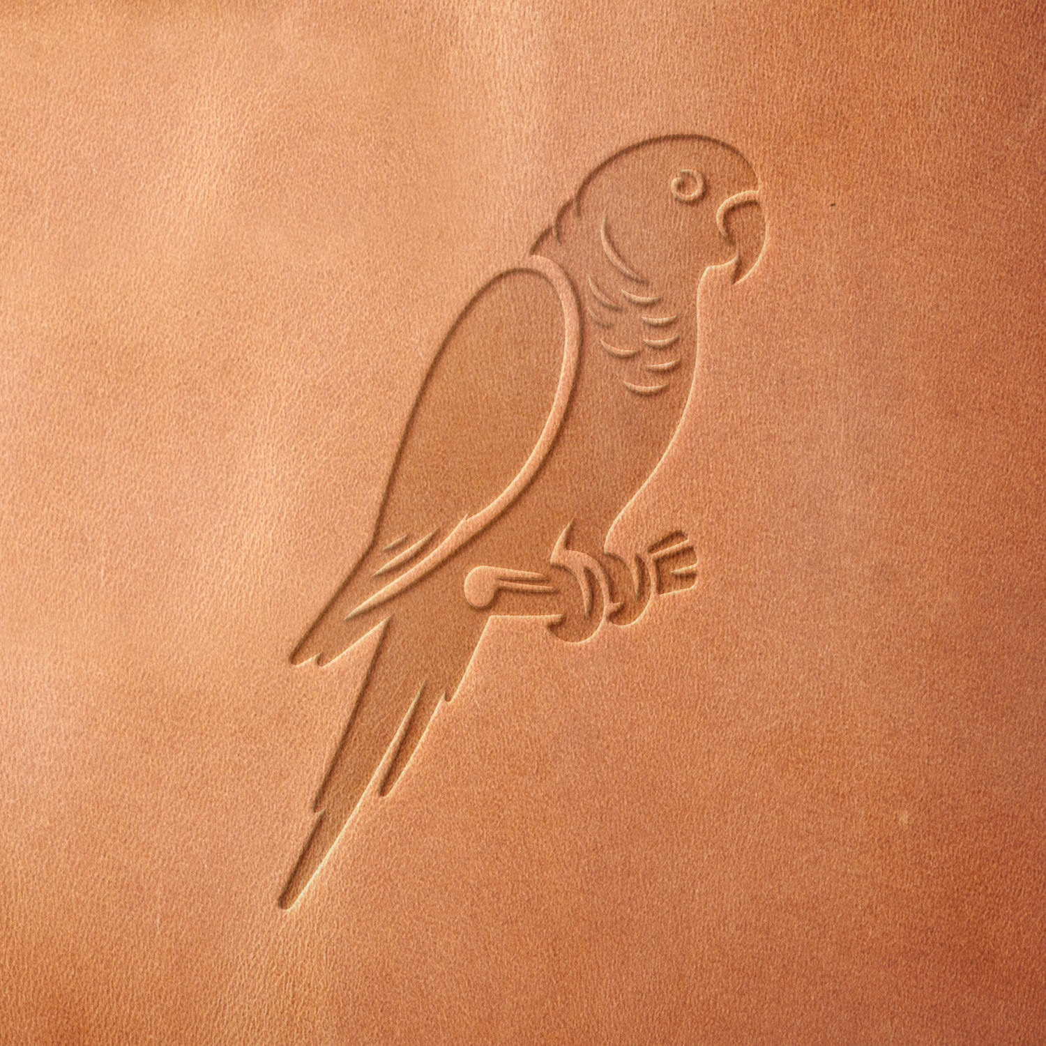 Leather piece stamped with a Delrin leather stamp of a perched parrot—great for handmade journals, belts, or island-inspired leather gifts.