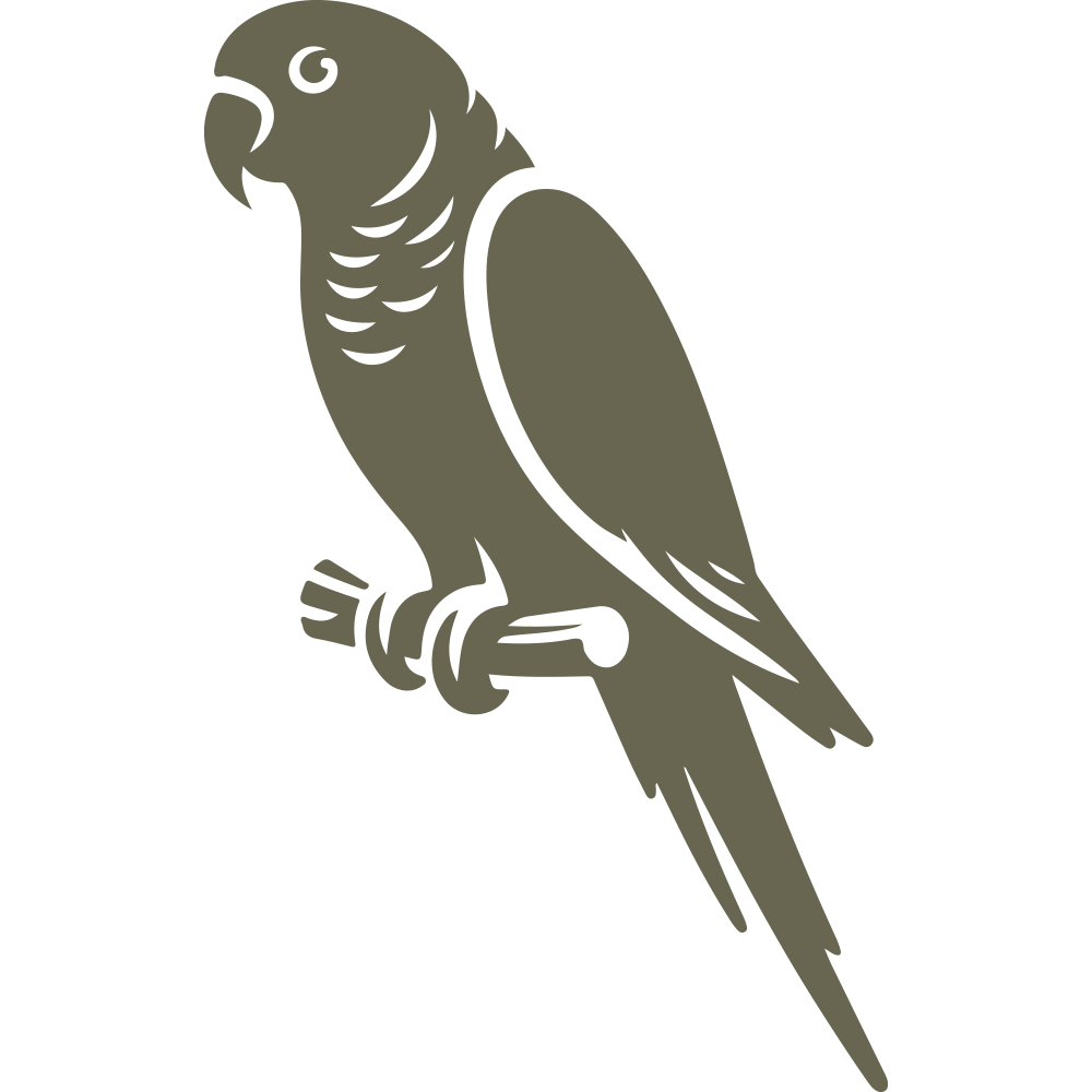 Clean parrot design perched on a branch with bold lines and tropical flair—perfect for bird-themed leather projects or beachy accessories.