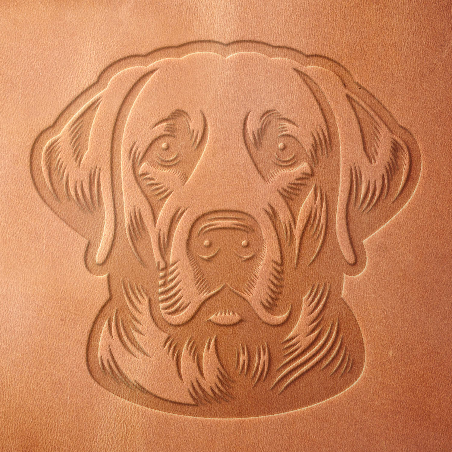 Leather sample showcasing a stamped Labrador dog head design using a delrin leather stamp, highlighting the breed’s characteristic broad head and warm gaze.