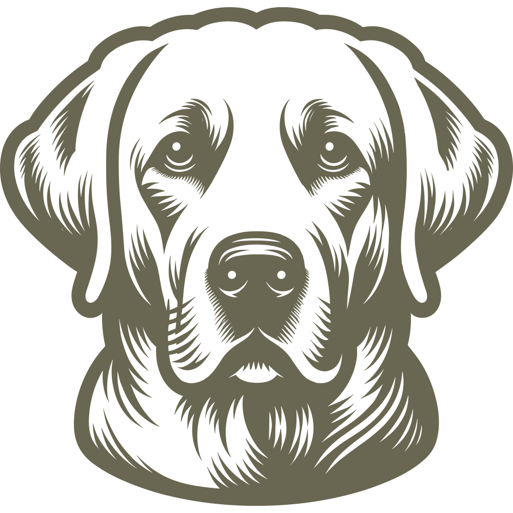 Labrador dog head design featuring subtle shading, expressive eyes, and a gentle, friendly expression.
