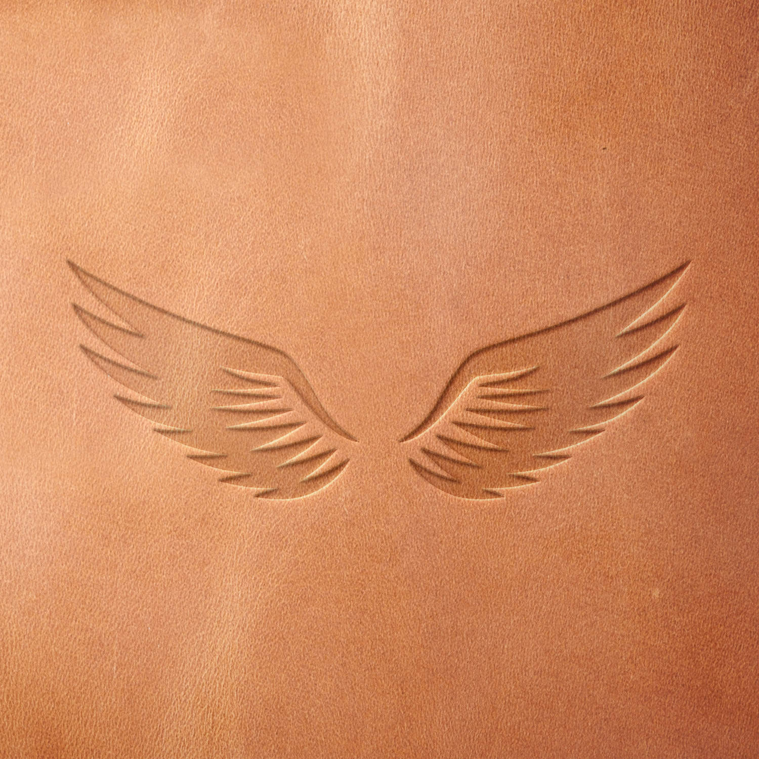 Leather sample showcasing a stamped wing design using a delrin leather stamp, highlighting the sleek feather details and balanced symmetry.