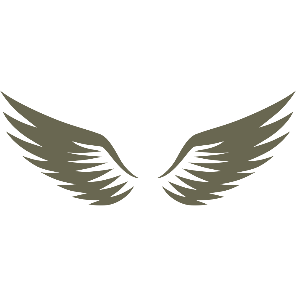 Minimalist wing design featuring two symmetrical, curved wings with layered feathers.