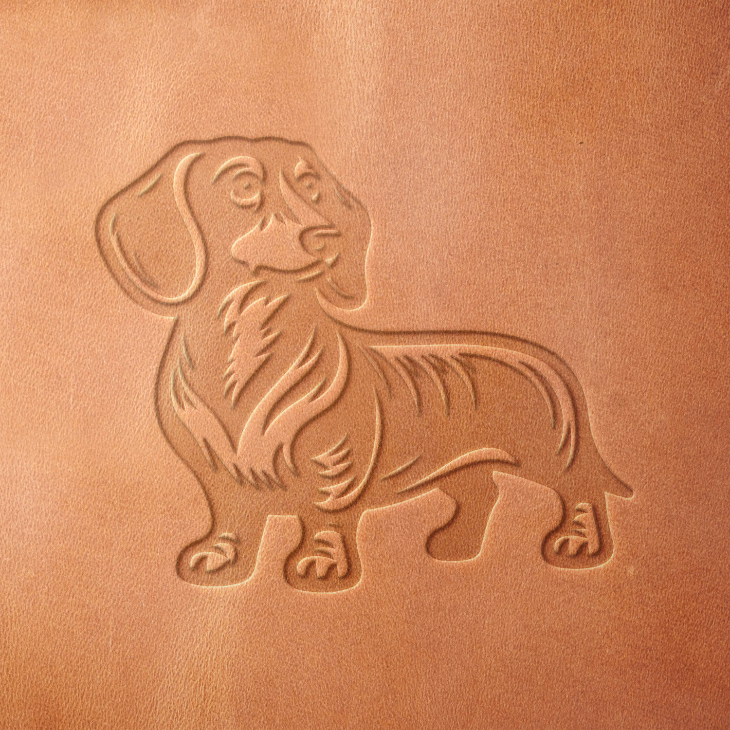 Leather sample featuring a stamped Dachshund, created using a Delrin leather stamp—ideal for pet lovers, custom leather engraving, and dog-themed crafts.