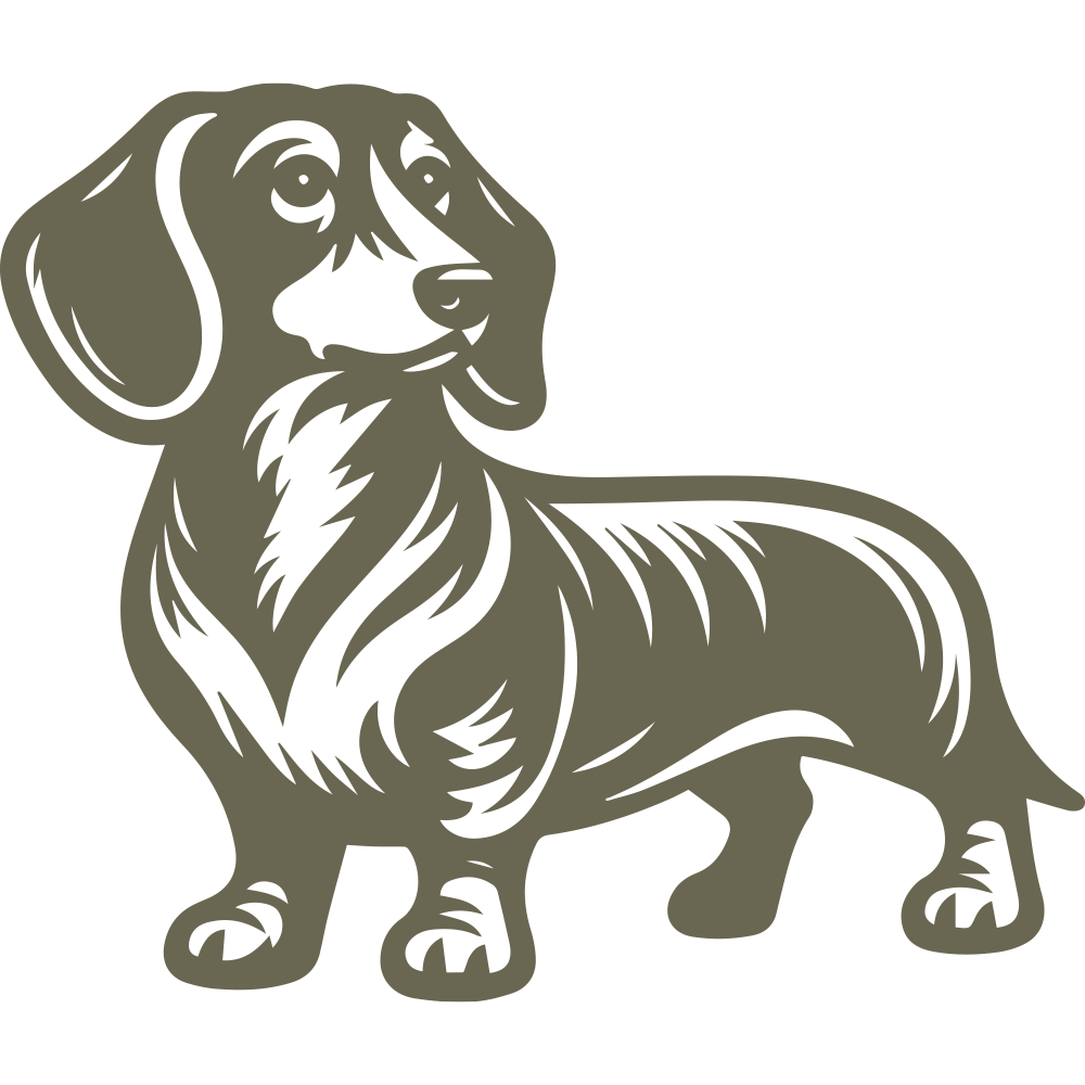 Detailed Dachshund design highlighting the breed’s long body, short legs, and expressive face—perfect for dog lovers and leathercraft projects.