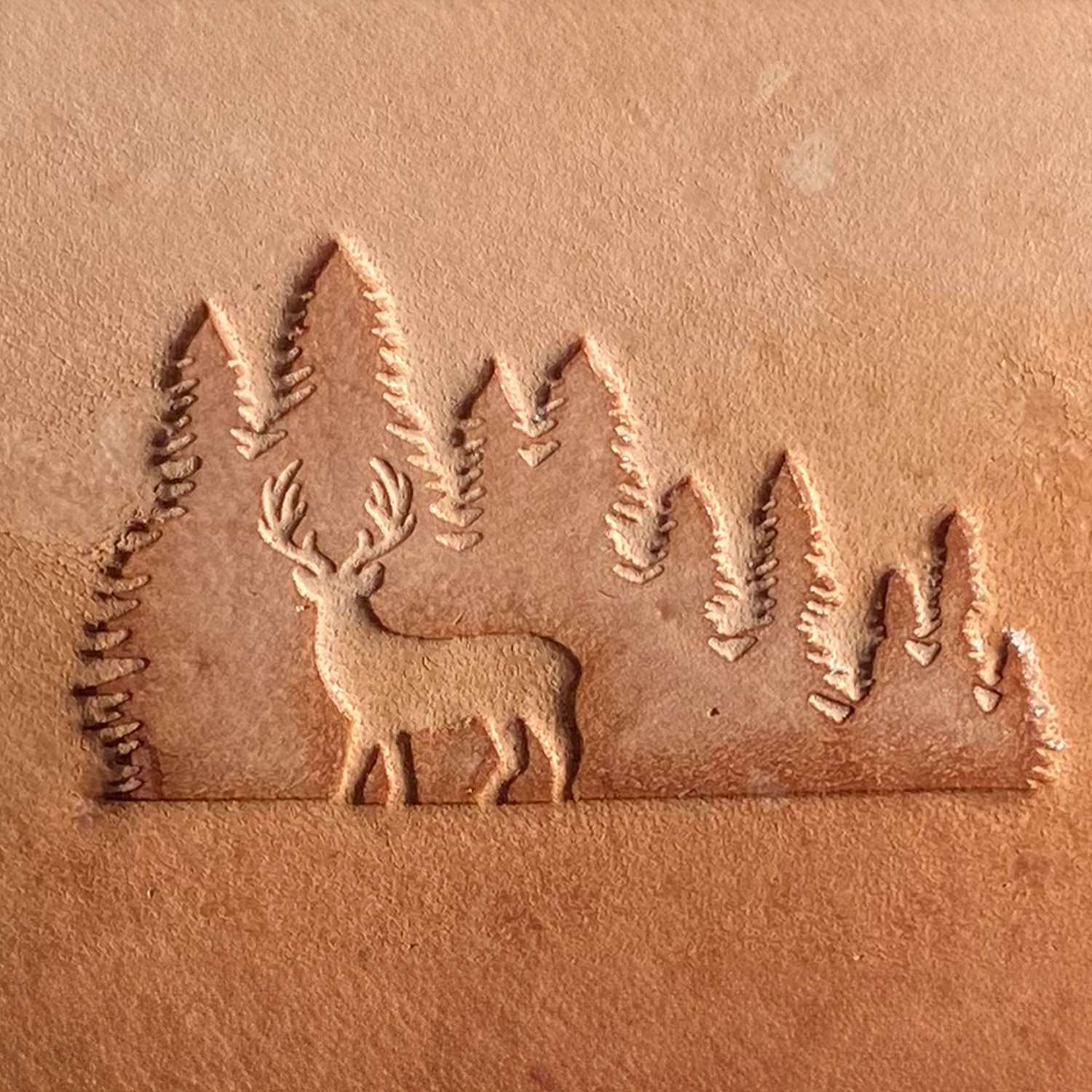 Deer in Forest Delrin Leather Stamp - All Good Leather Co.