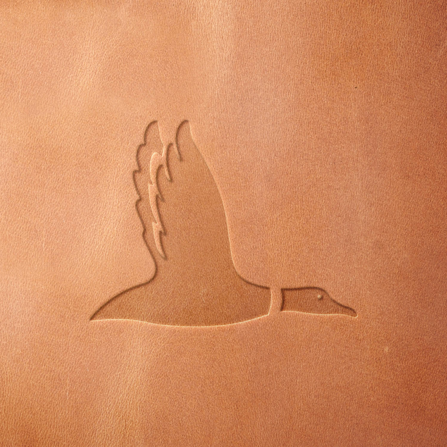 Leather sample featuring a stamped Canada goose in flight, made using a Delrin leather stamp—perfect for wildlife enthusiasts, hunting motifs, and custom leather projects.
