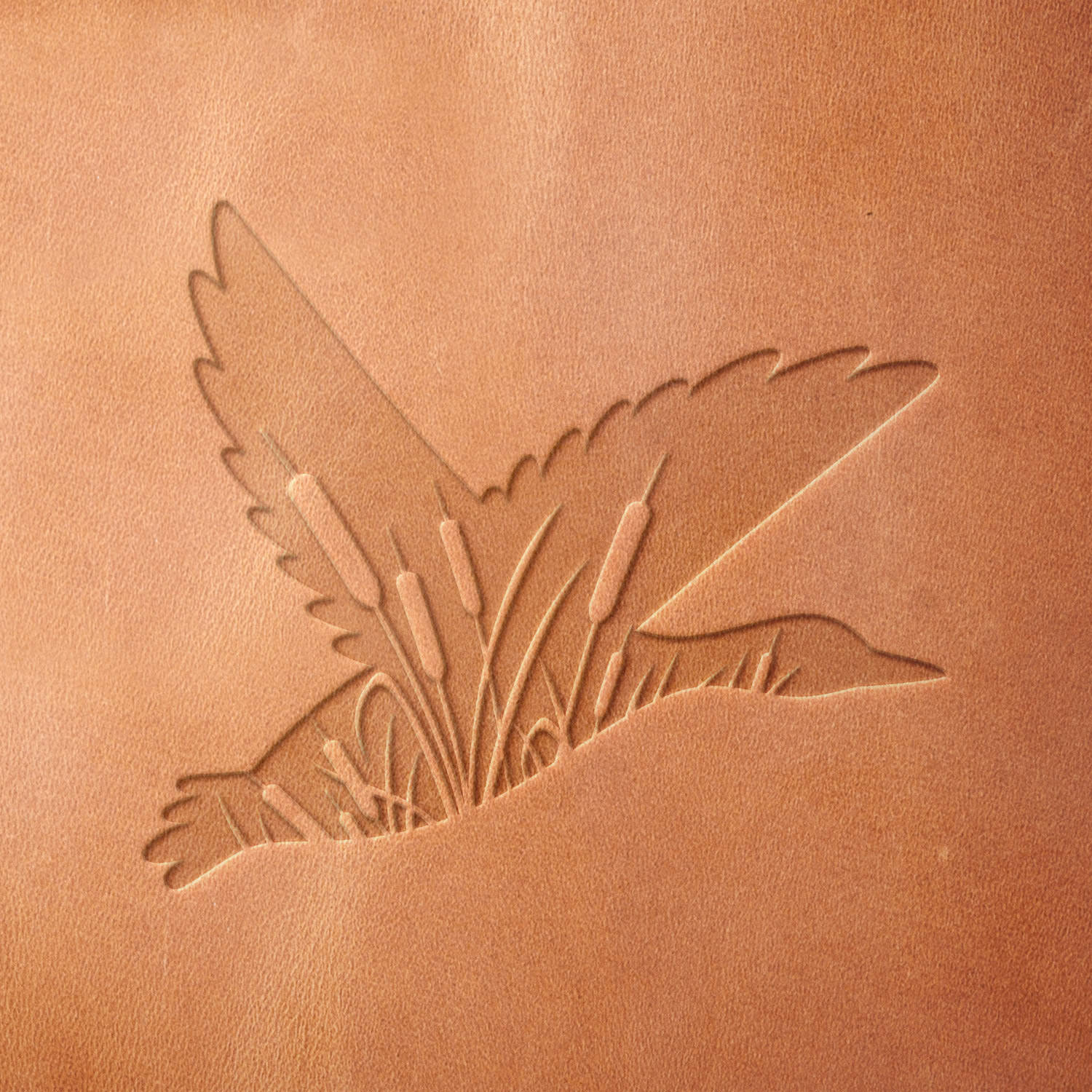 Leather sample featuring a stamped flying duck with cattail reeds, created using a Delrin leather stamp—perfect for hunters, outdoor enthusiasts, and wildlife lovers.