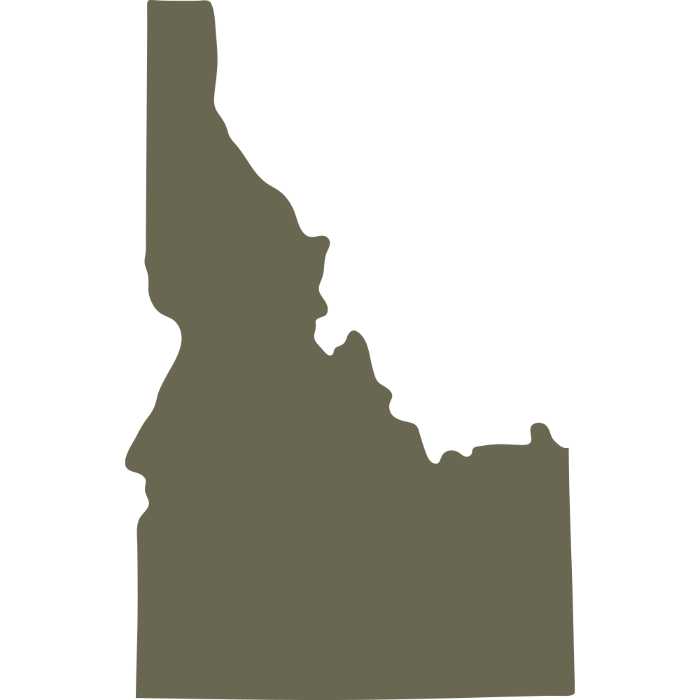 Outline of the state of Idaho. Ideal for state pride designs, travel-themed projects, and custom leathercraft.