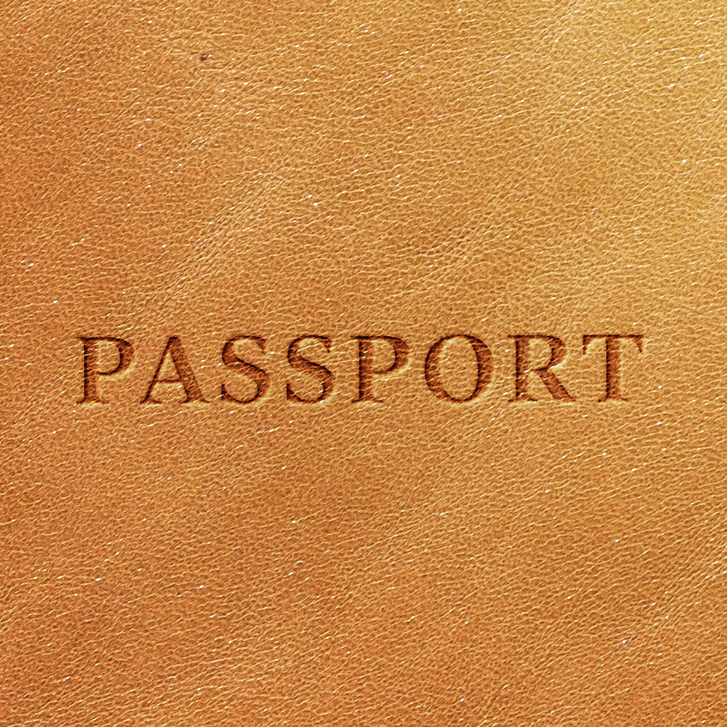 Passport Delrin Leather Stamp - All Good Leather Co.