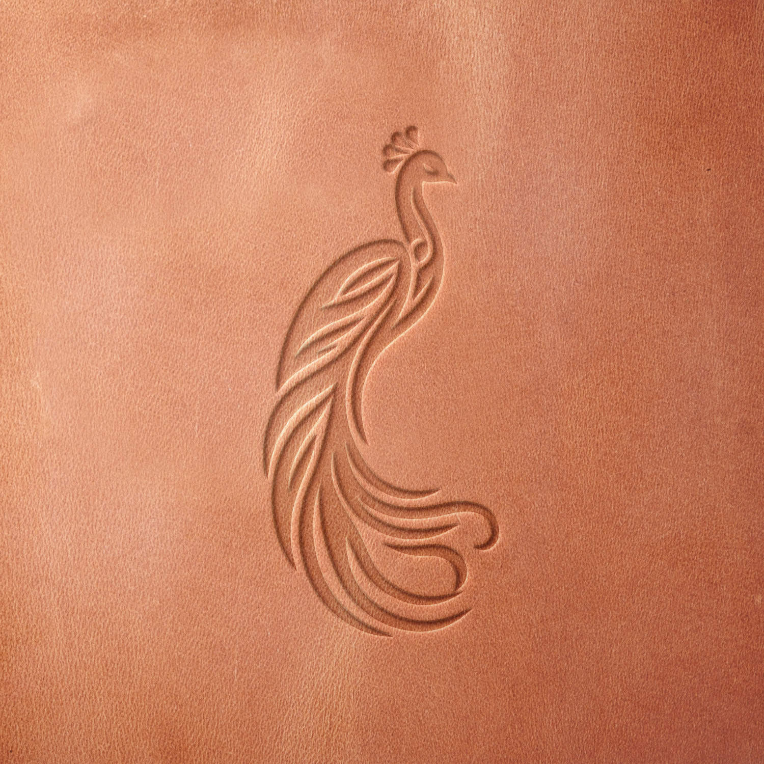 Leather sample featuring a stamped peacock design, created using a Delrin leather stamp—perfect for artistic engraving, custom leather goods, and nature-inspired designs.