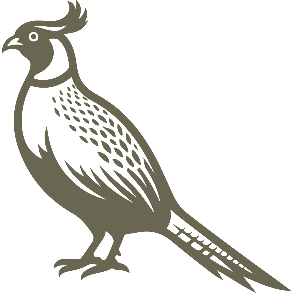 Detailed pheasant design featuring an elegant crest, long tail feathers, and intricate plumage—perfect for wildlife and hunting-themed leathercraft.