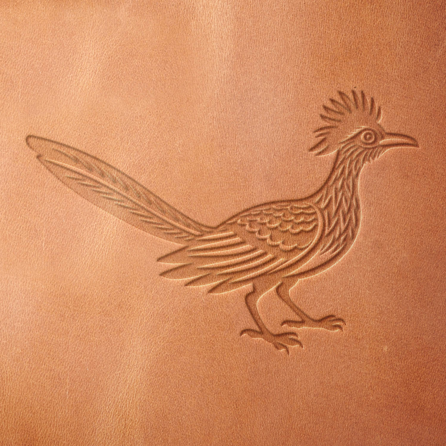 Leather sample featuring a stamped roadrunner, made using a Delrin leather stamp—ideal for nature-inspired engraving, Southwestern motifs, and custom leather projects.