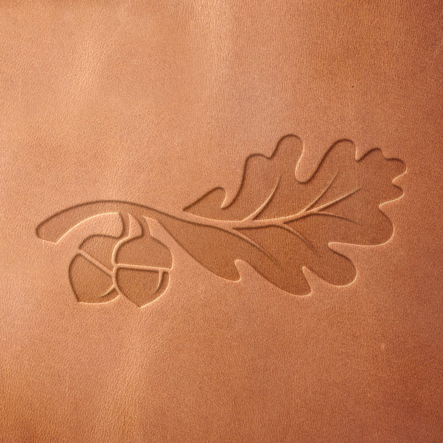 Leather sample featuring an embossed oak leaf and acorn design, adding a rustic and organic touch.