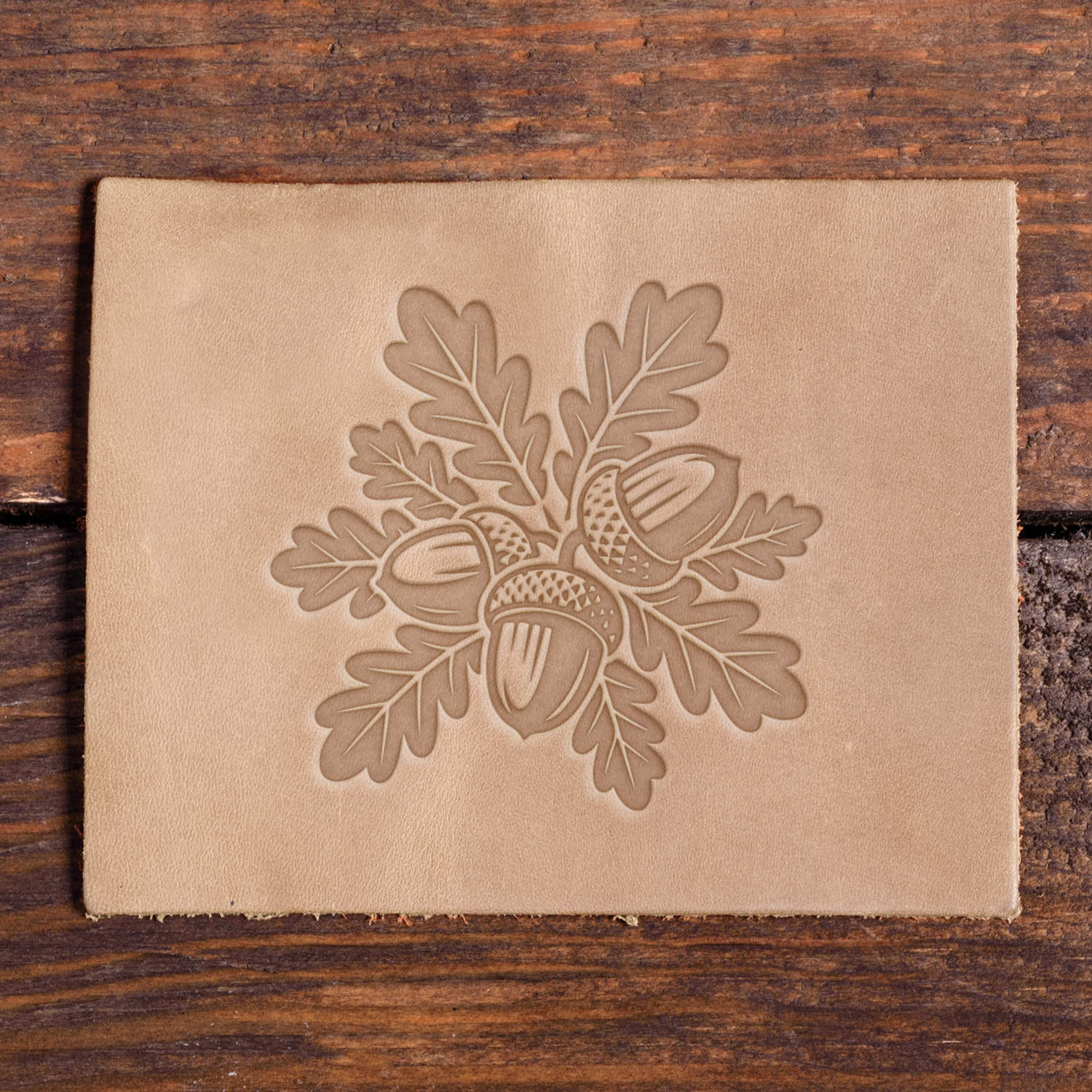 Cluster of Acorns Delrin Leather Stamp