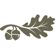 Oak leaf and acorn design with flowing lines, ideal for nature-inspired leathercraft projects.