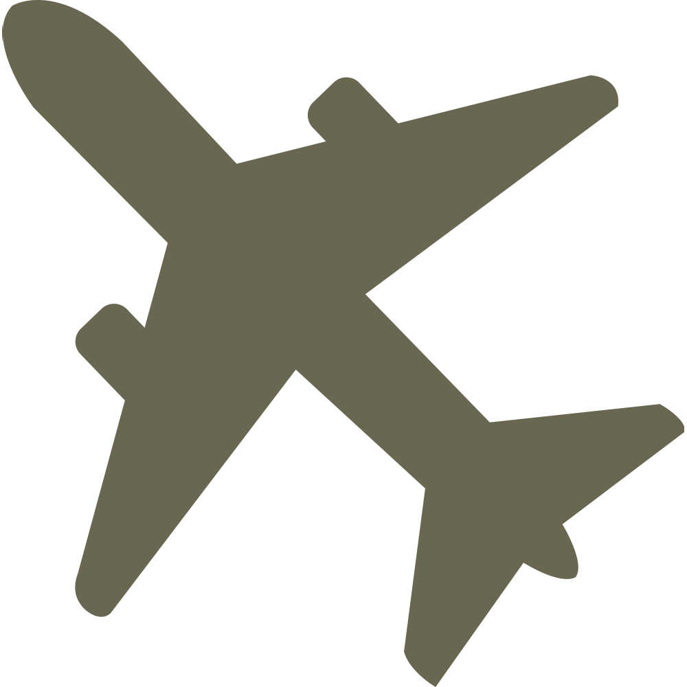 Airplane silhouette design for Delrin leather stamp.