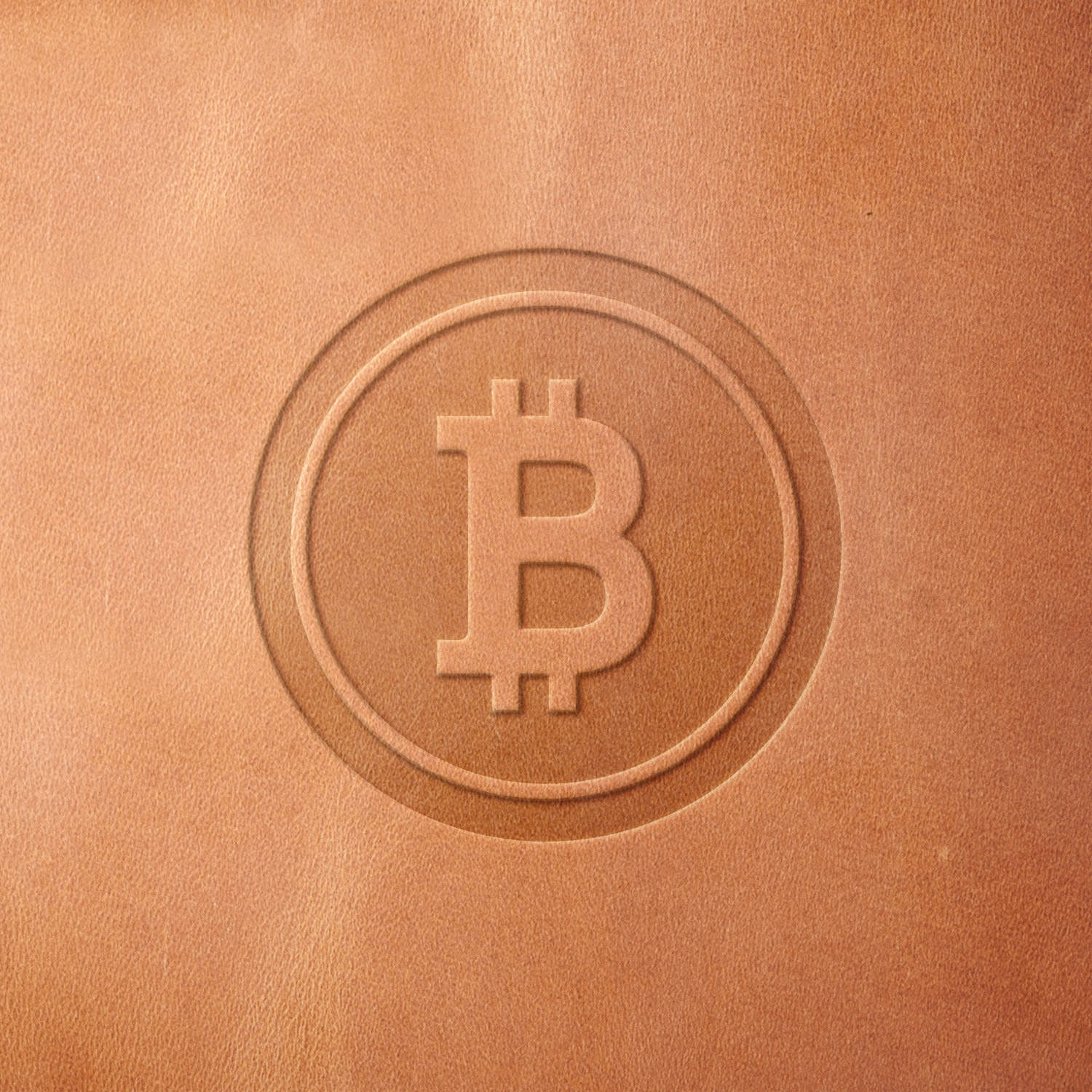 Bitcoin Delrin Leather Stamp