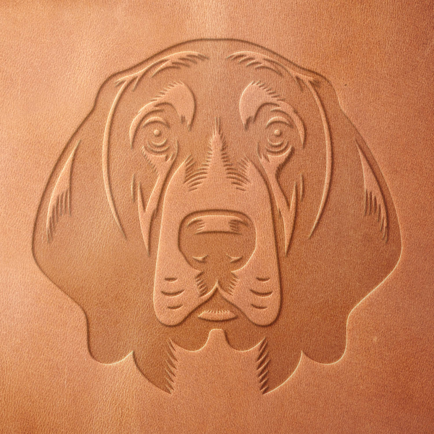 Leather sample showcasing a stamped hound dog head design using a delrin leather stamp, emphasizing the dog’s thoughtful gaze and ear shape.