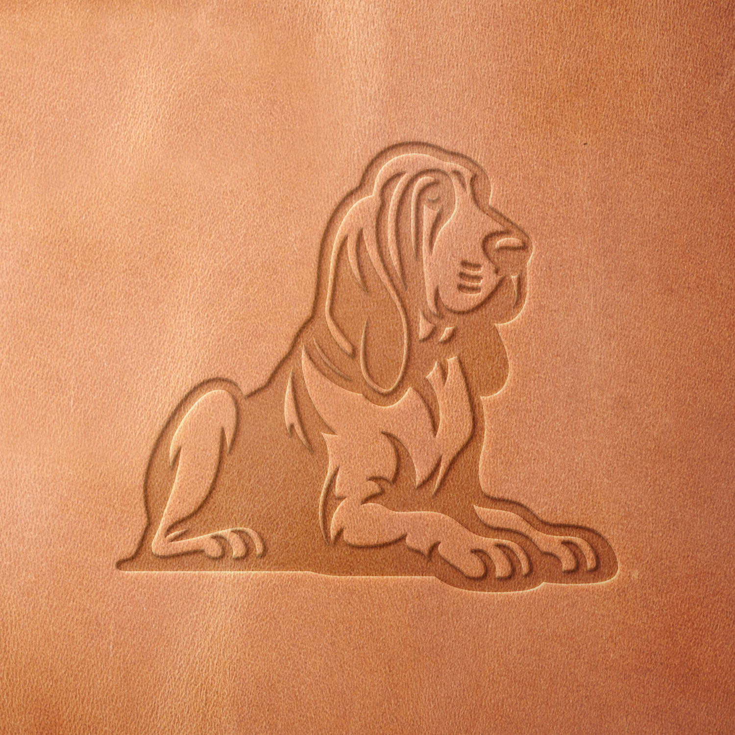 Leather sample stamped with a Delrin leather stamp, showcasing a Bloodhound dog in a seated position with distinctive long ears and a calm expression.