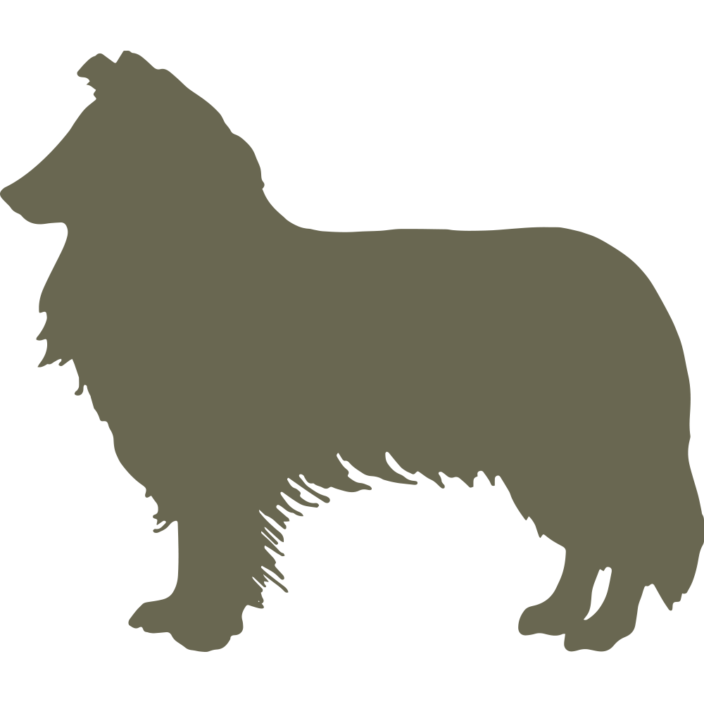 Border Collie Dog Delrin Leather Stamp