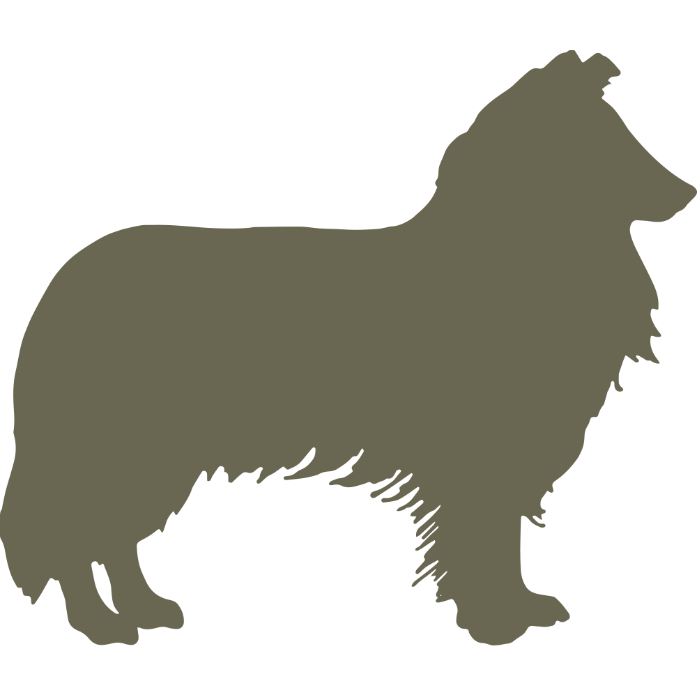 Border Collie Dog Delrin Leather Stamp
