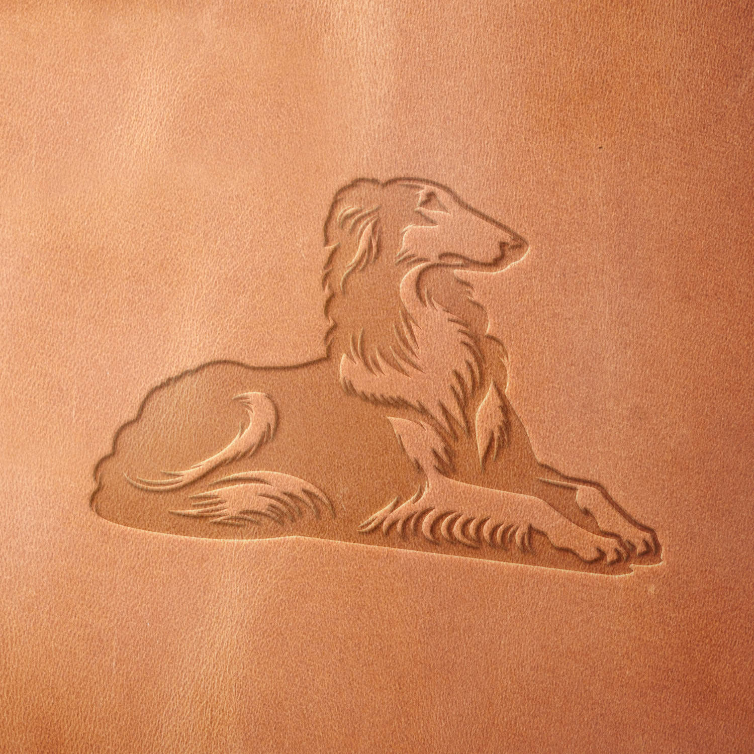 Leather sample showcasing an embossed Borzoi dog, capturing the breed’s refined and majestic appearance.