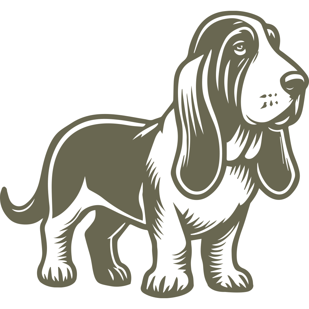 Detailed Basset Hound design featuring the breed’s signature long ears, droopy eyes, and short, sturdy legs. A charming depiction of this loyal and lovable scent hound.