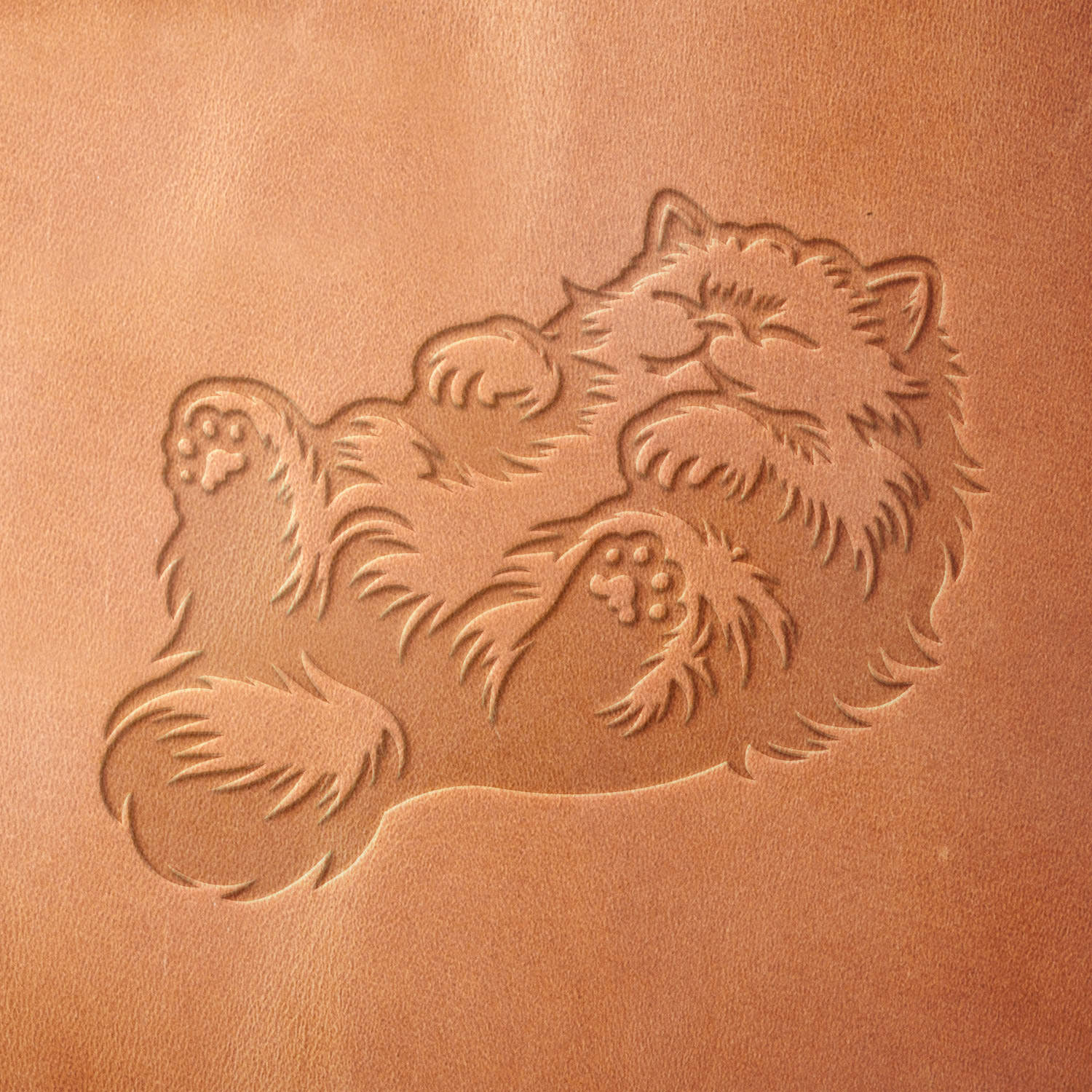 Leather sample showcasing a stamped Persian cat design using a delrin leather stamp, highlighting the intricate fur texture and playful lounging pose.