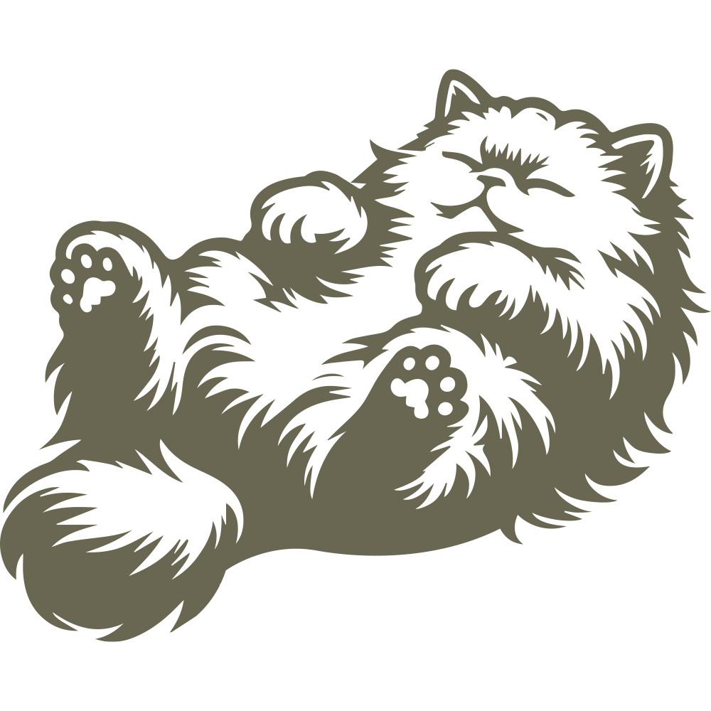 Fluffy Persian cat lying on its back with a relaxed expression, soft fur details, and curled paws.