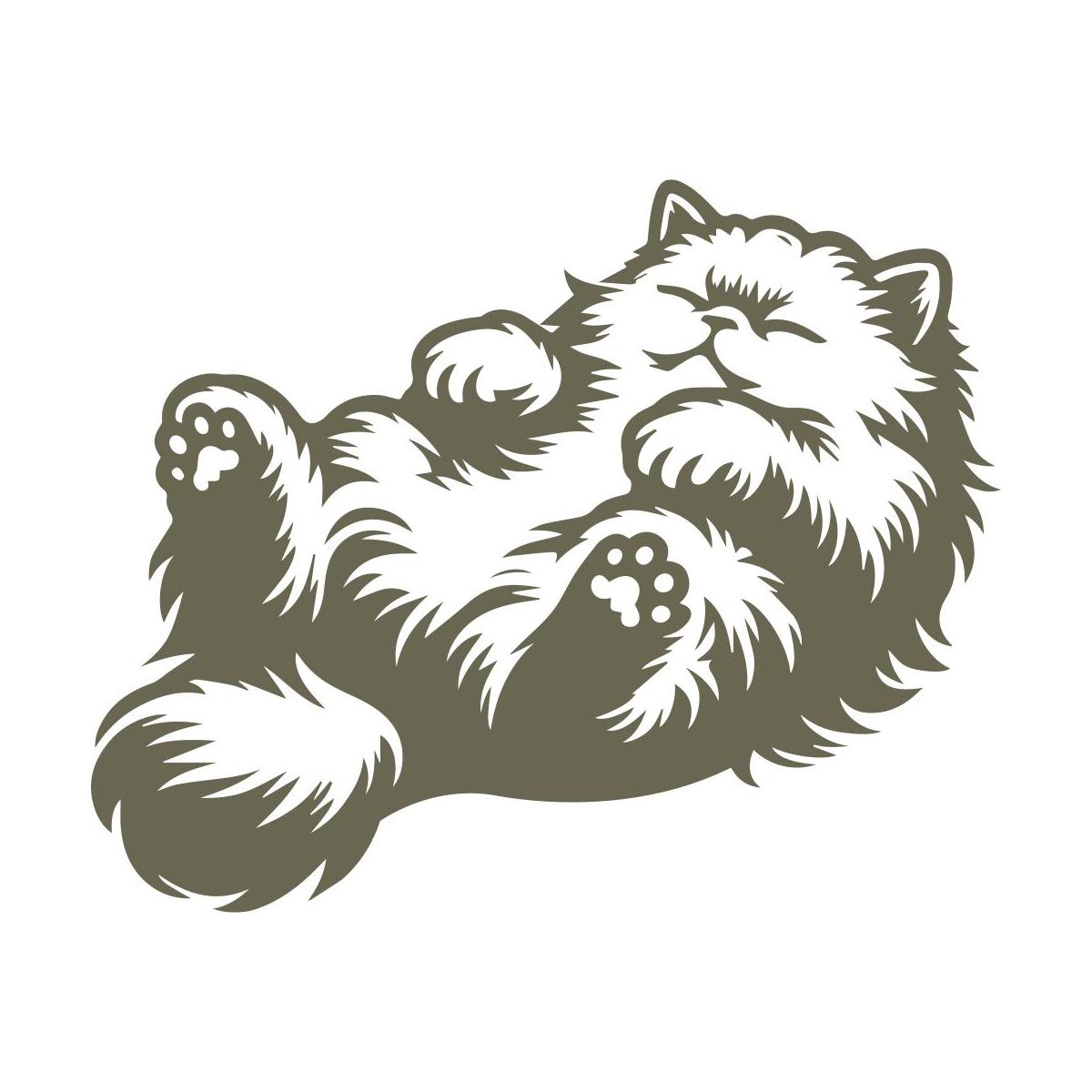 Fluffy Persian cat lying on its back with a relaxed expression, soft fur details, and curled paws.