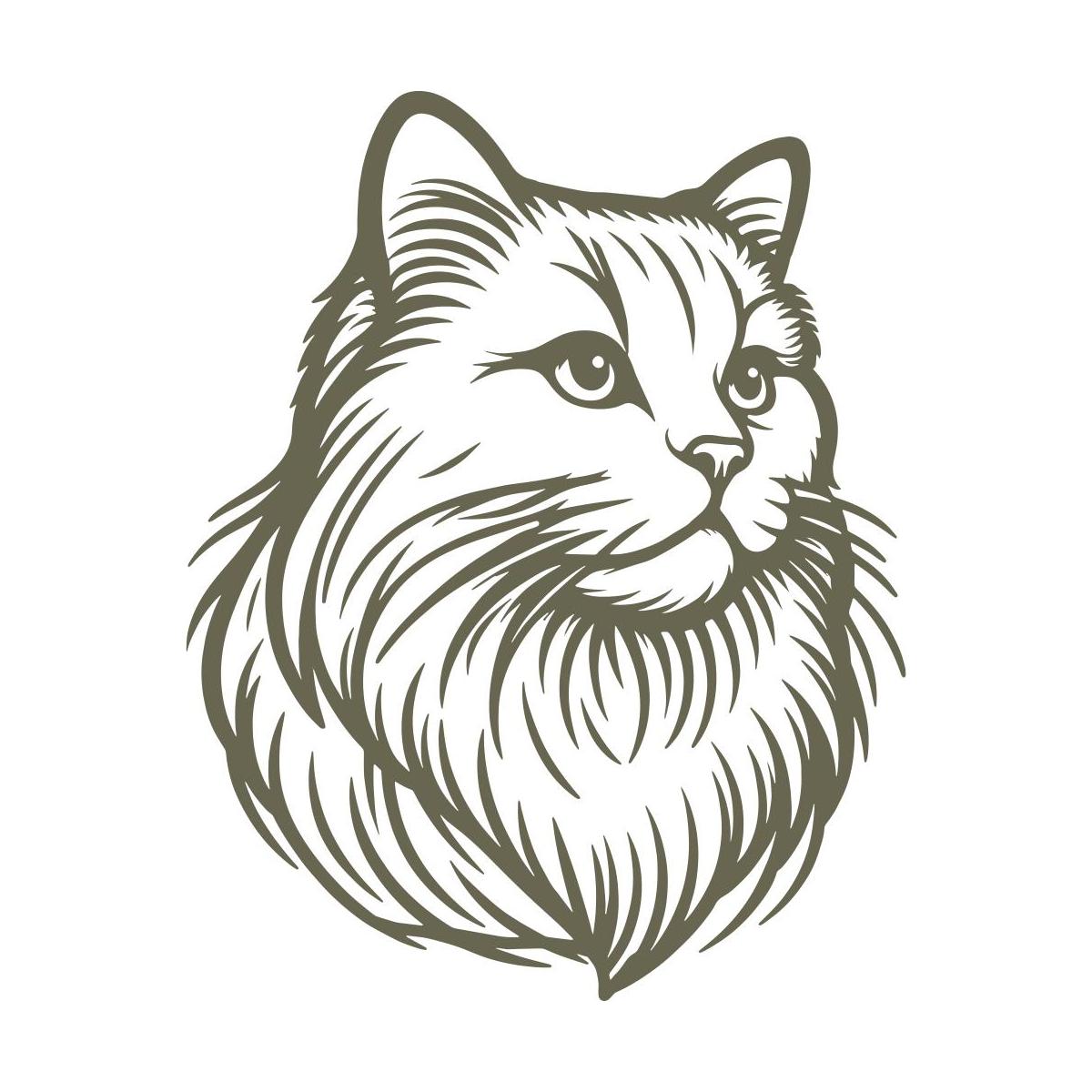 Maine Coon cat design featuring a detailed, long-haired mane, expressive eyes, and a regal posture, capturing the breed’s majestic and intelligent nature.
